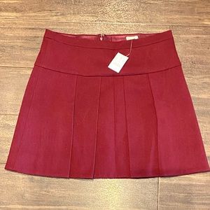 JCrew Skirt